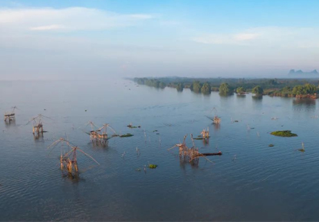 一周简讯｜2022年上半年京东预制菜同比增长170%