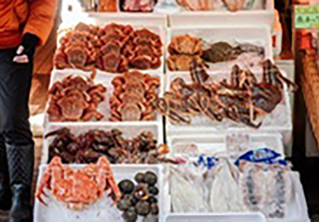 “太仓港进口日本污染海鲜”？回应来了