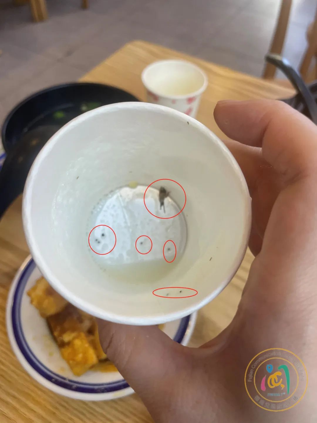 豆浆中喝出蟑螂，福州这家餐饮店被曝光(图2)